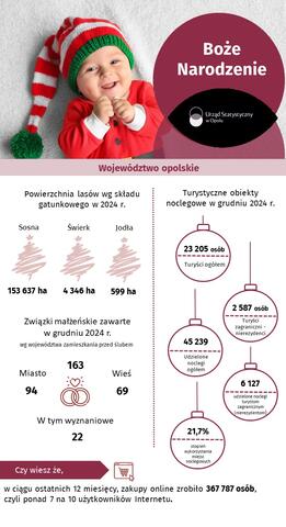 Infografika dotycząca grudnia 2024 r.