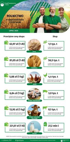 Infografika dotycząca rolnictwa w województwie opolskim w lipcu 2025 r.